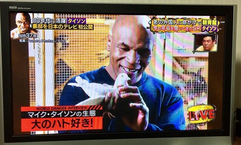 マイク タイソンさんが陰キャのいじめられっ子だったと言う事実wwwww なんjクエスト マイク タイソンさんが陰キャのいじめられっ子だったと言う事実wwwww なんjクエスト