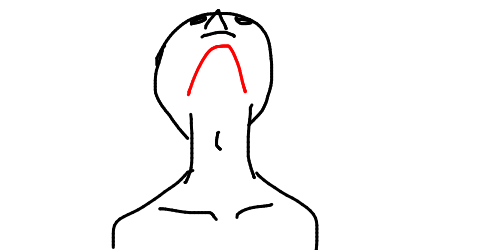 【画像】首？アゴ？の"ここ"、凝りまくってたから揉みまくったｗｗｗｗｗｗｗｗｗｗｗｗｗｗｗｗ