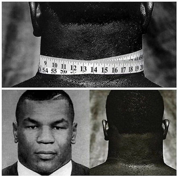 【画像】全盛期マイクタイソンの首ｗｗｗｗｗｗｗｗｗｗｗ