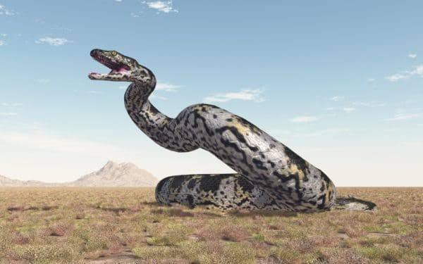 恐怖 かつて地球に存在した世界最大のヘビwwwwwwwwwwww なんjクエスト 恐怖 かつて地球に存在した世界最大のヘビwwwwwwwwwwww なんjクエスト
