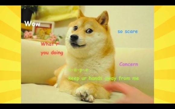 画像 世界一有名なイッヌｗｗｗｗｗｗｗｗｗｗｗｗｗｗ なんjクエスト