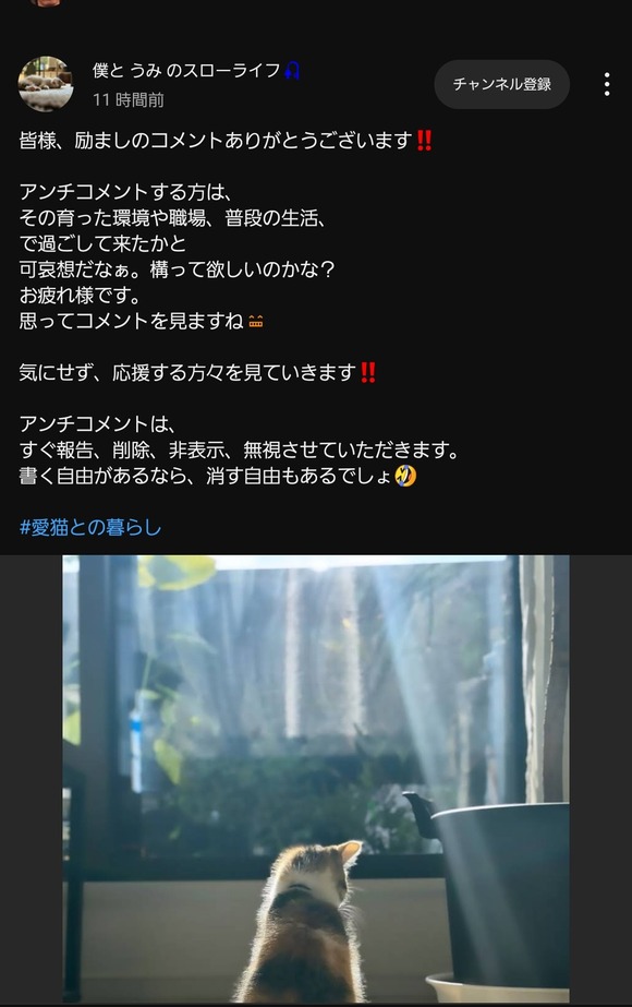 【朗報】例の海で溺れてた子猫を助けた聖人YouTuber、アンチに勝利宣言してしまうｗｗｗｗｗｗｗｗｗｗｗｗｗｗｗｗ