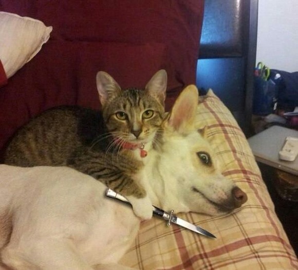 no title