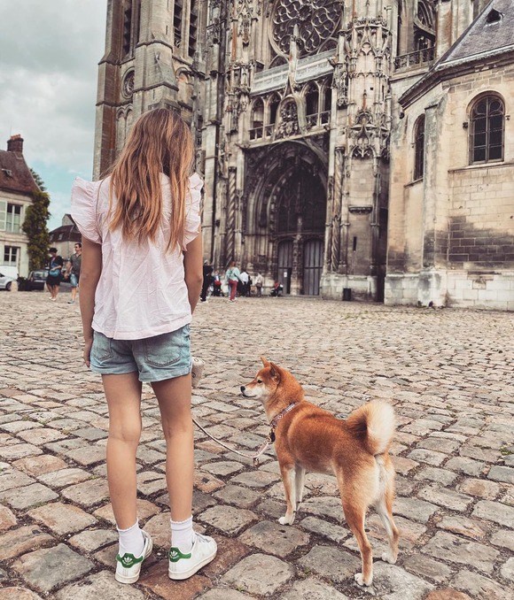 【画像】和風イッヌ、パリの町並みに溶け込んでしまうｗｗｗｗｗｗｗｗｗ