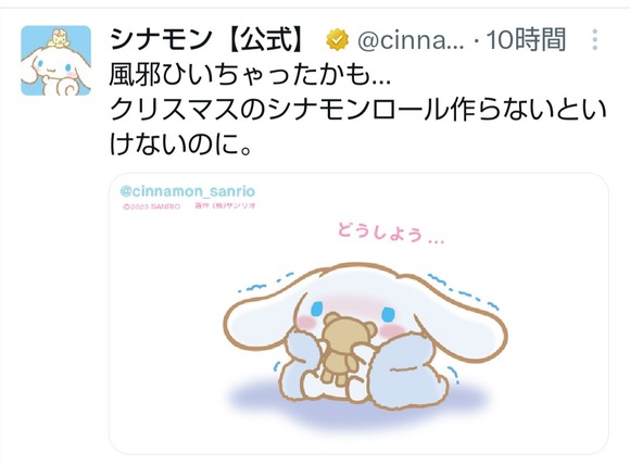 【悲報】シナモンさん、風邪をひいてしまうｗｗｗｗｗｗｗｗｗ