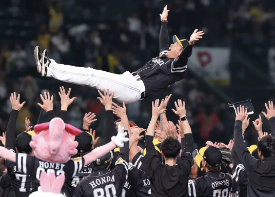 【朗報】セリーグ、阪神が来年も優勝しそうwwwwwwwwwwwwwww : なんJクエスト