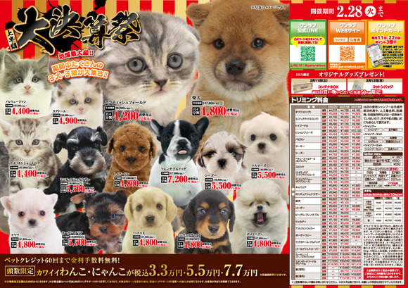 【画像】　ペットショップ、ちょっと一線越えかける