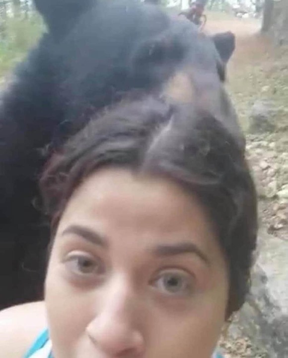 【動画】クマに擦り寄られてもまったく動じないメキシコの女性たち「メキシコでは熊よりも人間のほうが残虐」