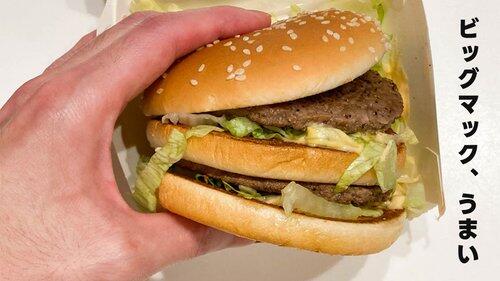 【悲報】マクドナルドって結局ビッグマック一択じゃない？ｗｗｗｗｗｗｗｗｗｗ