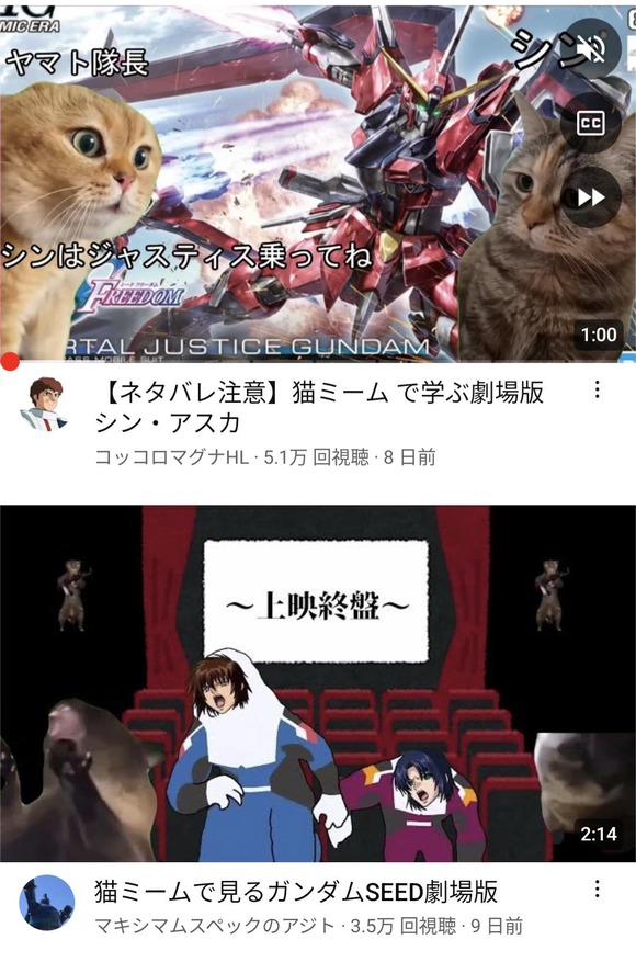 【朗報】猫ミームで学ぶ〇〇シリーズ、流行りまくってしまうｗｗｗｗｗｗｗ