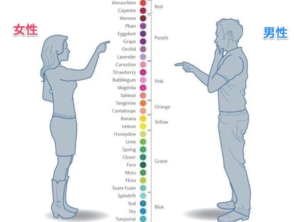 【画像】男には７色にしか見えない色、女には２９色に見えていたｗｗｗｗｗｗｗｗｗｗｗｗｗｗｗｗ