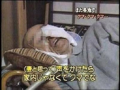 悲報 アメリカ人の10人に1人がライオンやゾウ グリズリーを素手で倒せると回答wwwww なんjクエスト 悲報 アメリカ人の10人に1人がライオンやゾウ グリズリーを素手で倒せると回答wwwww なんjクエスト
