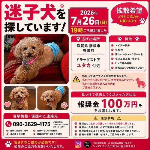 【朗報】めちゃくちゃ割の良い光バイト見つかるｗｗｗｗｗｗｗｗｗｗ