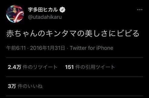 【悲報】 宇多田ヒカル「赤ちゃんの金玉の美しさにビビる」