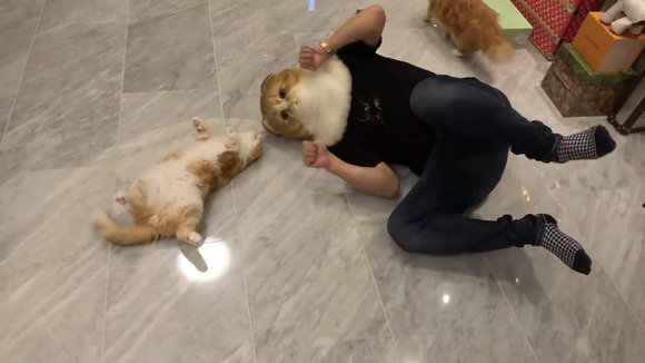 no title