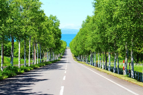【唖然】八雲町「隅研吾デザイン監修の設計費19000万円払ったら建設費が無くなった…無念！」