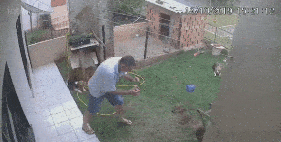 悲報 ブラジル人のゴキブリ駆除の方法 ヤバすぎるwwwwwwwwww なんjクエスト 悲報 ブラジル人のゴキブリ駆除の方法 ヤバすぎるwwwwwwwwww なんjクエスト