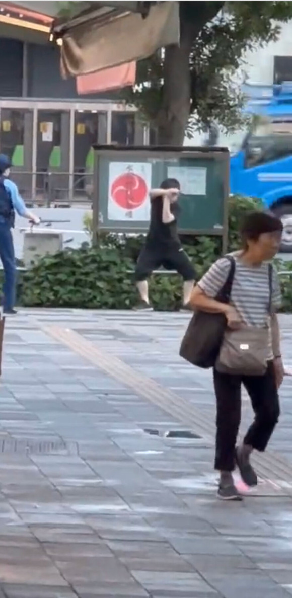 【画像】　池袋駅刃物男(40代)のこの構えはなんだったのか・・・