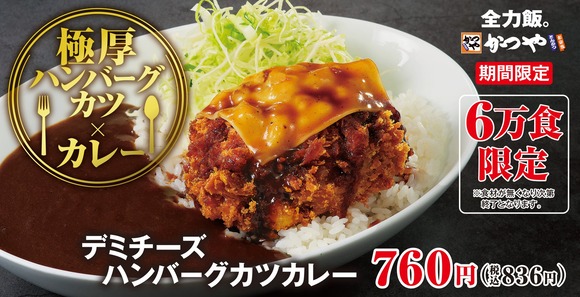 【朗報】かつやさん、6万食限定のめちゃくちゃ美味そうな期間限定メニューを発売ｗｗｗｗｗｗ
