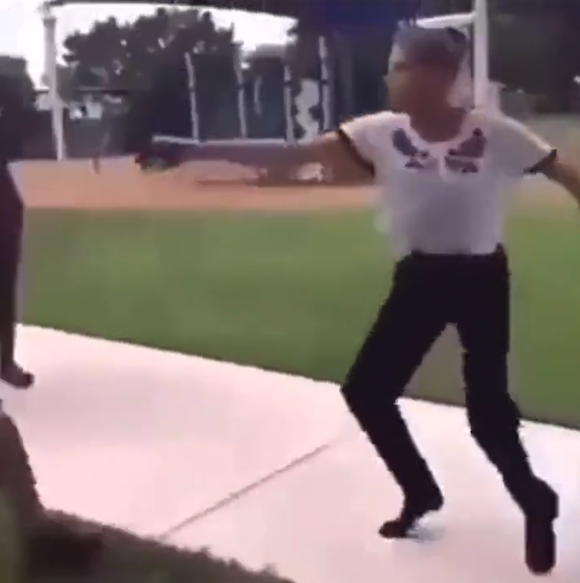 【悲報】　白人女性さん、スタンガンで武装して襲撃した結果・・・