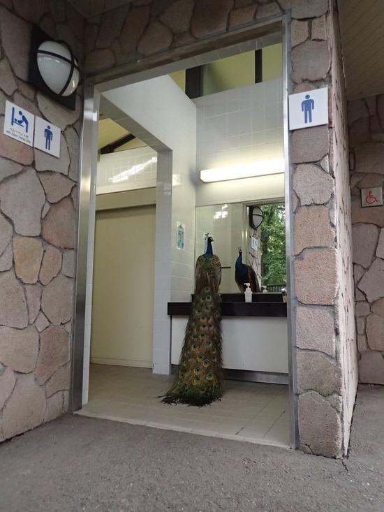 【画像】公園のトイレにバケモノいた！！！！！！！！！！！！