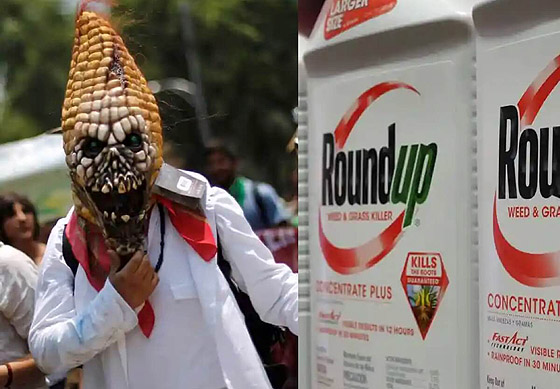 0222monsanto-1-thumb