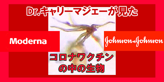 コロナワクチン 中身
