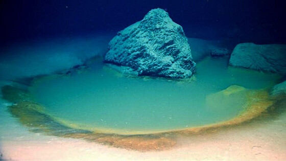 rare-deep-sea-brine-po-750x422