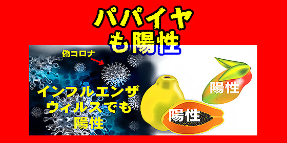 タンザニア大統領 PCR