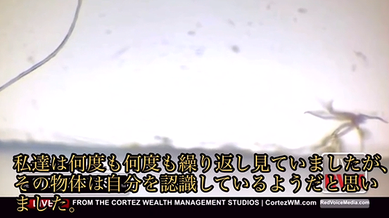 ice_screenshot_20220813-060820