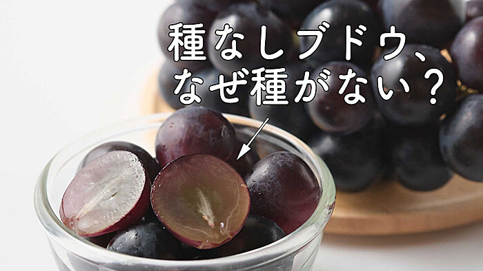 grape