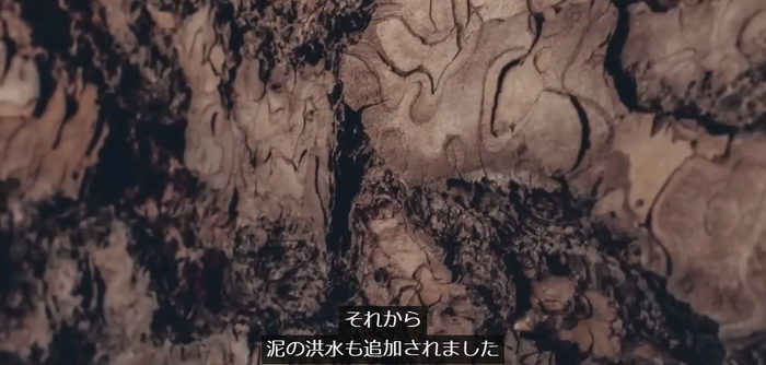 泥の洪水
