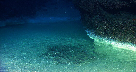 undersea1