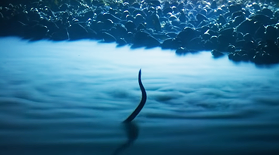 ice_screenshot_202207