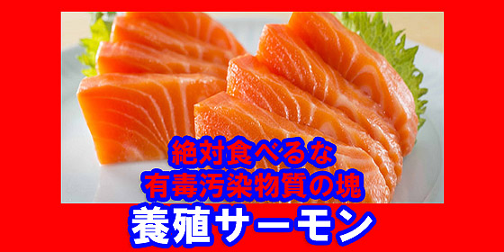 養殖サーモン 危険1