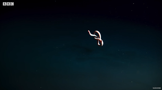 ice_screenshot_20220731-105654