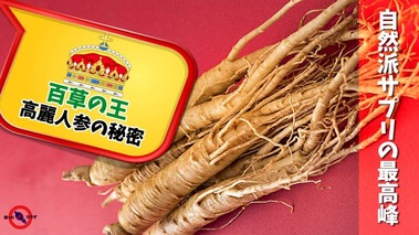 高麗人参-朝鮮人参-の秘密-自然派-サプリ-の最高峰-2-1024x575
