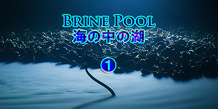 Brine Pool