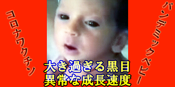 コロナワクチン パンデミックベビー