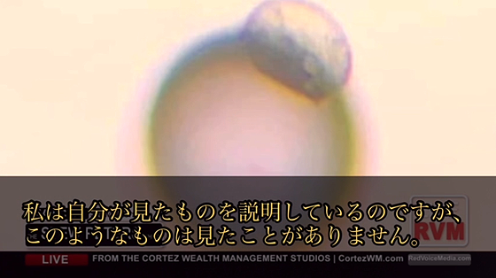 ice_screenshot_20220813-061039