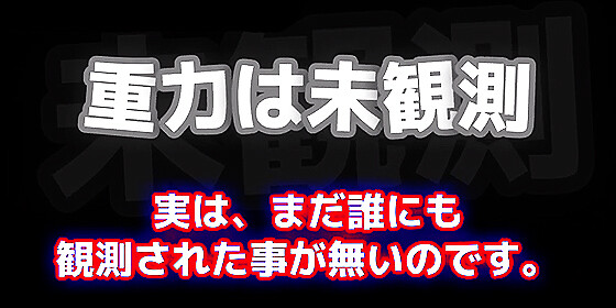 ご飯の催促がメチャ簡潔なネコ様