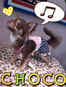 2012-05-22-23-28-11_deco