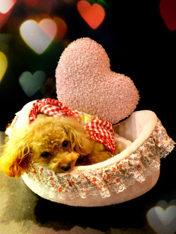 2012-05-22-23-01-14_deco