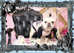 �����꡼�󥷥�å� 2018-06-08 19.25.49