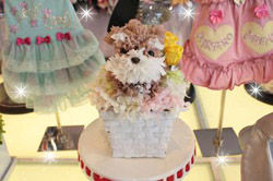20120519181212