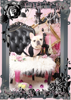 �����꡼�󥷥�å� 2018-06-10 12.08.57