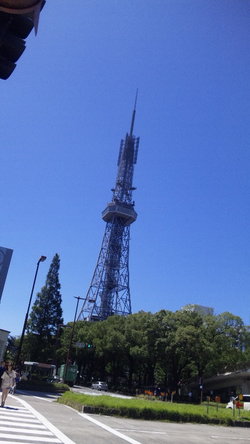 618e5545.jpg
