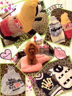 PicCollage 3