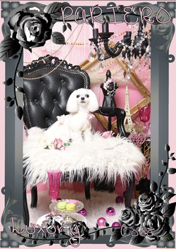 �����꡼�󥷥�å� 2018-06-10 11.32.38