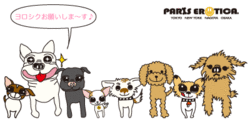 blog_start